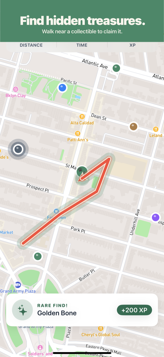 A live GPS-tracked dog walk with route, distance, and XP
