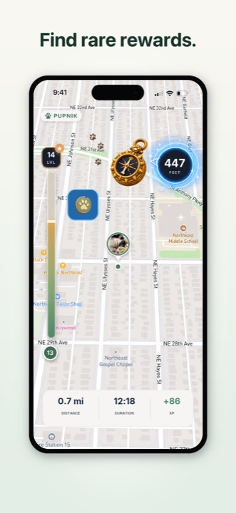 Pupnik map showing a rare collectible reward nearby