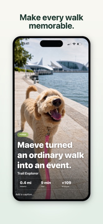 Pupnik memory card capturing a dog walk by the water