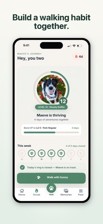 Pupnik streak screen showing a dog and owner building a walking habit