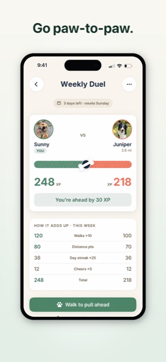 Pupnik weekly duel comparing two dogs head to head