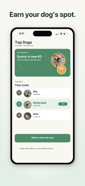Pupnik neighborhood ranking showing a dog earning its place